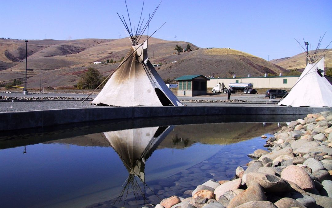 Tribal Success: Snake River Fall Chinook