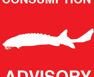 Mid-Columbia Fish Consumption Advisory