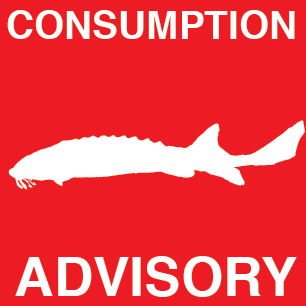 Mid-Columbia Fish Consumption Advisory
