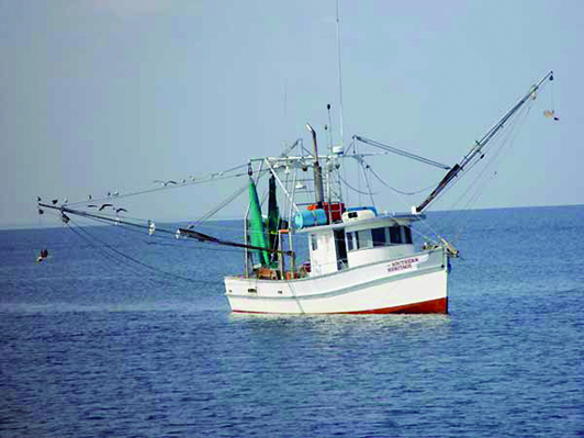 Ocean Fishery Planning