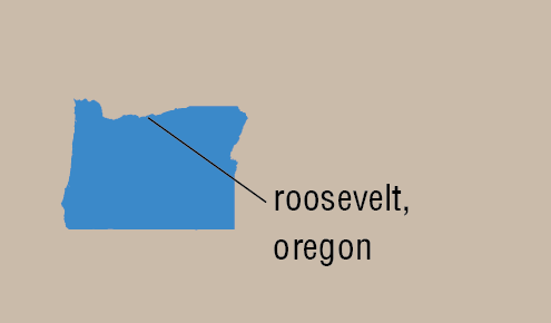 Roosevelt, Oregon Map