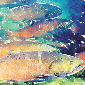 image of painted salmon