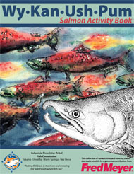 Salmon activity book